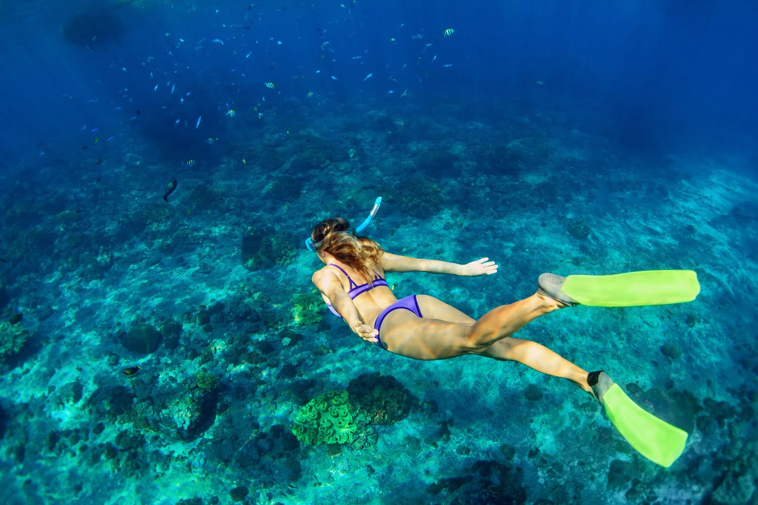 Trav Sun Tours Jamaica