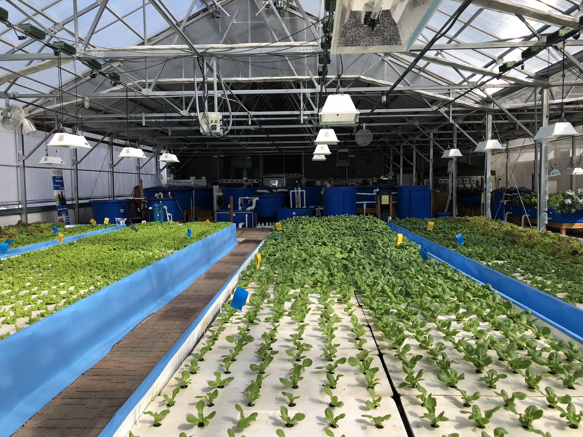 Bonaire DailyFresh