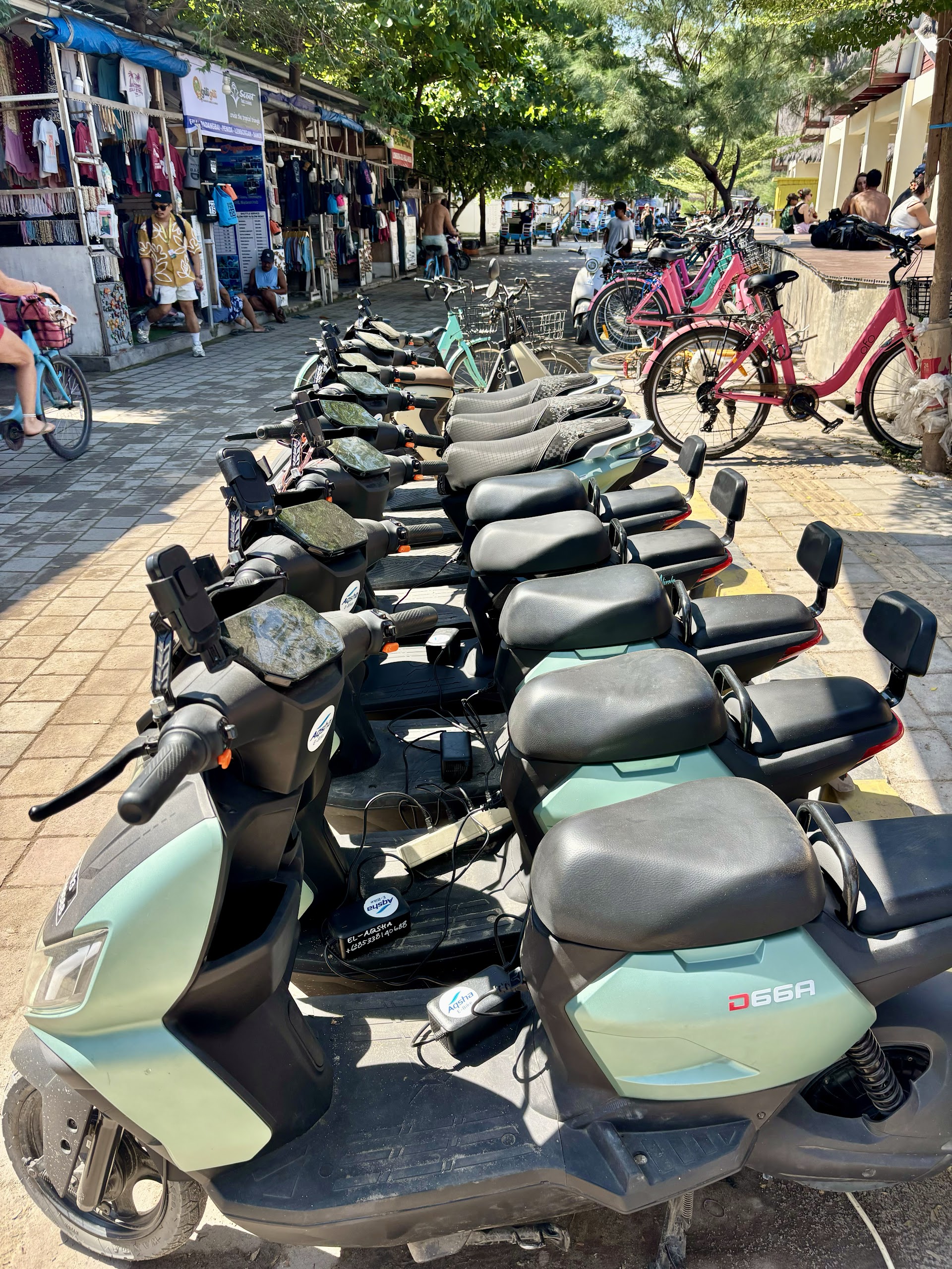 Aqsha rental electric bike