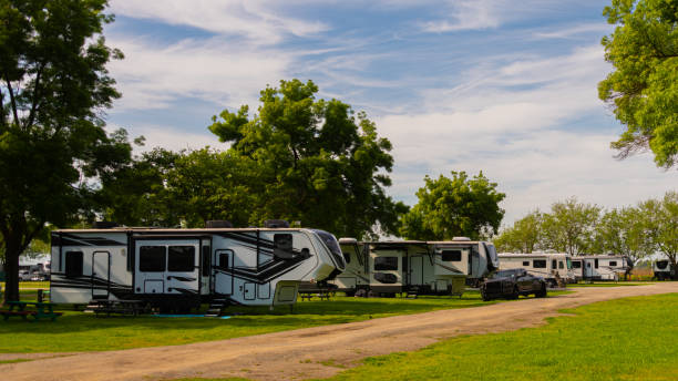 Camping Nauta