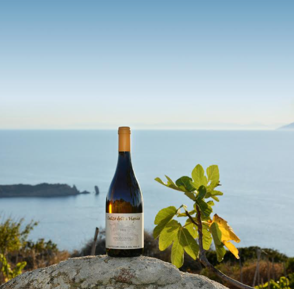 Castellari Winery