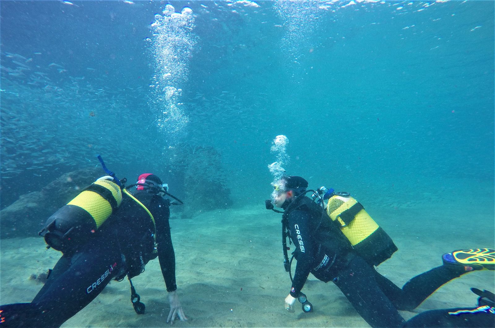 Active Scuba Divers