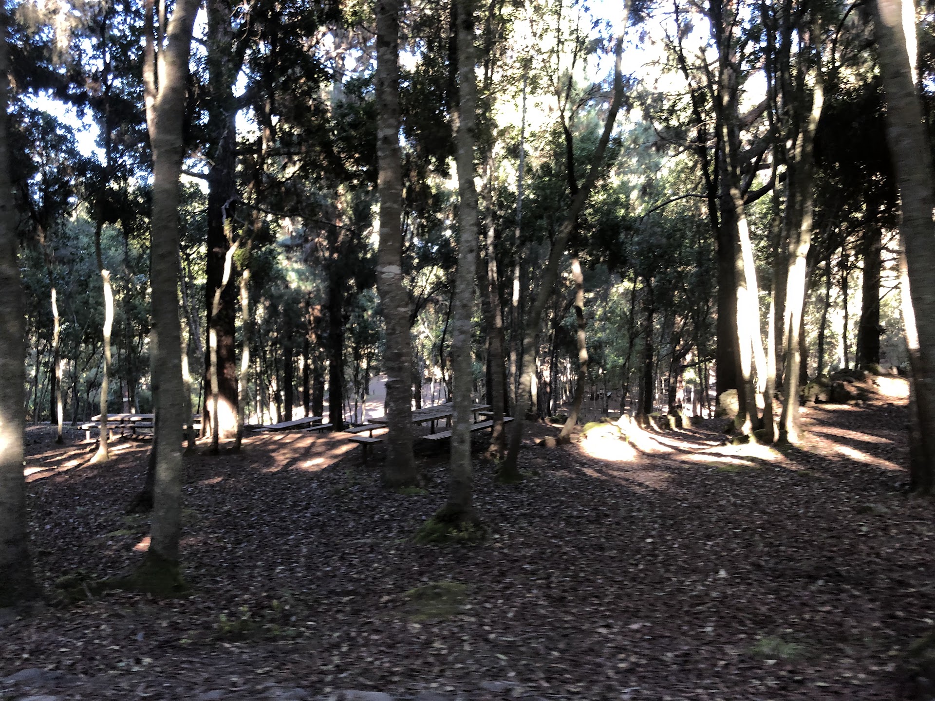 Zona De Acampada De La Tahona