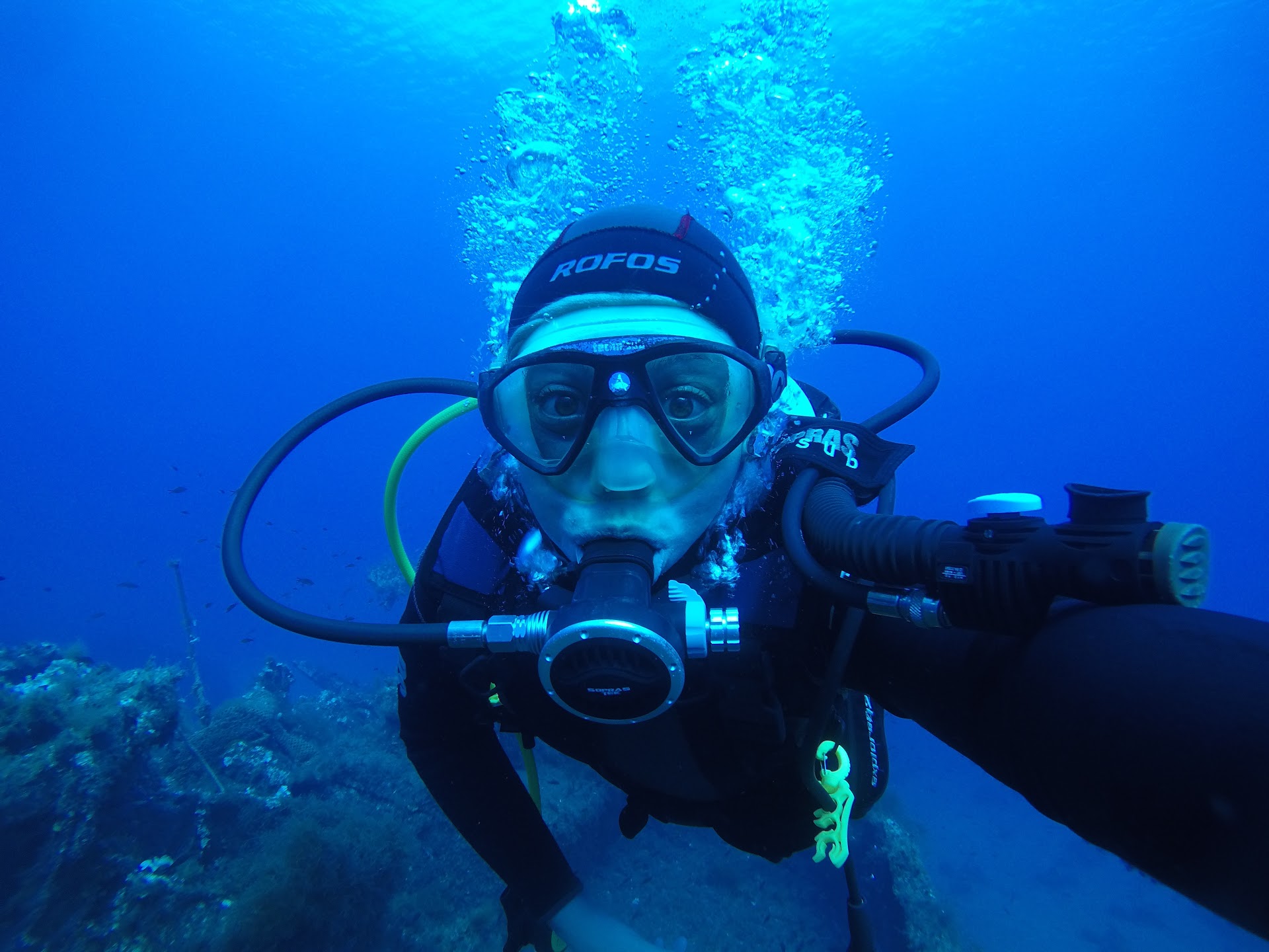 Mola Mola Training School