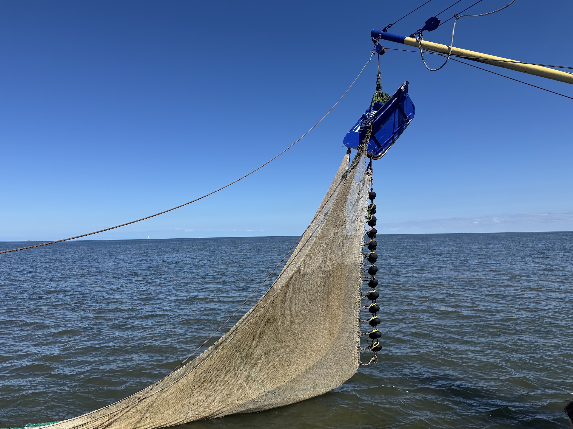 TX20 garnalen Vissen & Zeehonden Zien