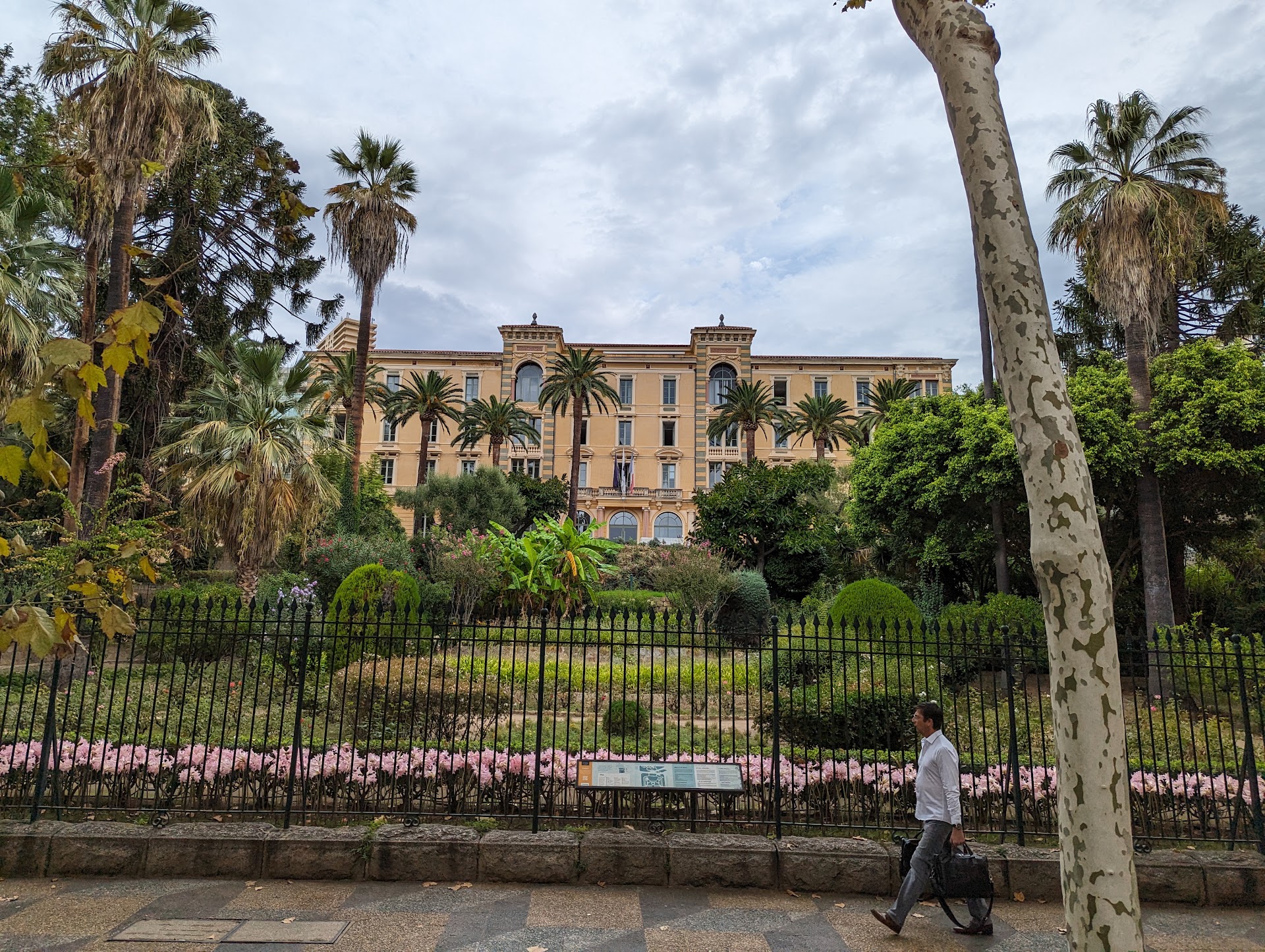 Koya Ajaccio - Ajaccio