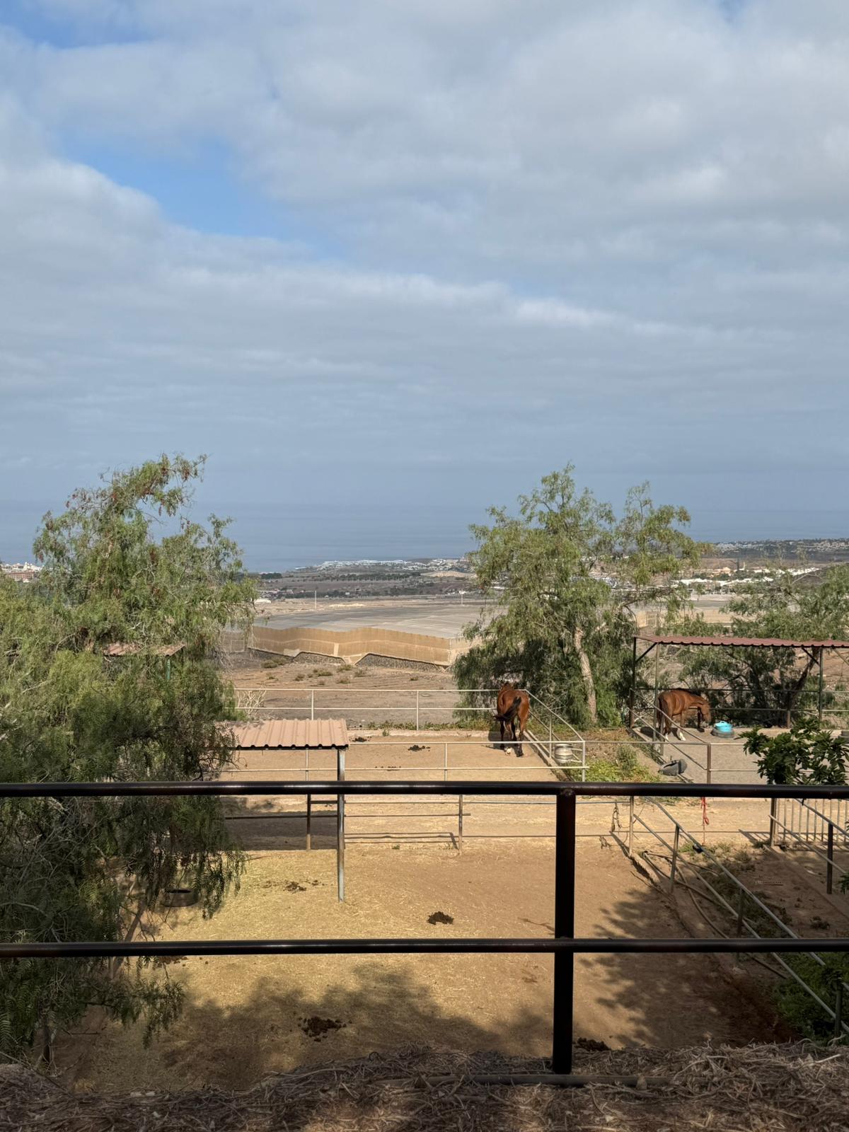 Onira Equestrian Center