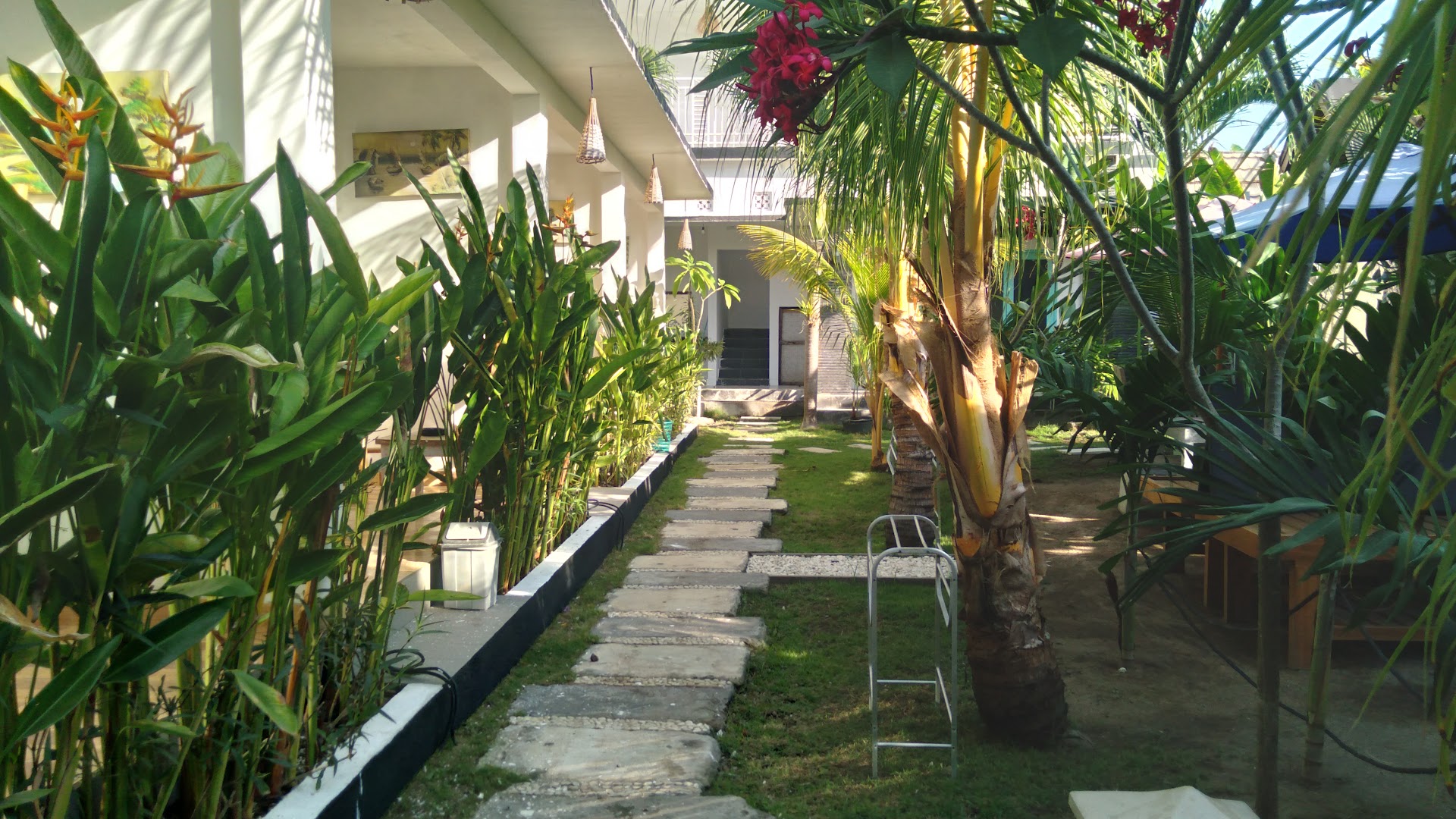 Palm Trees Villas