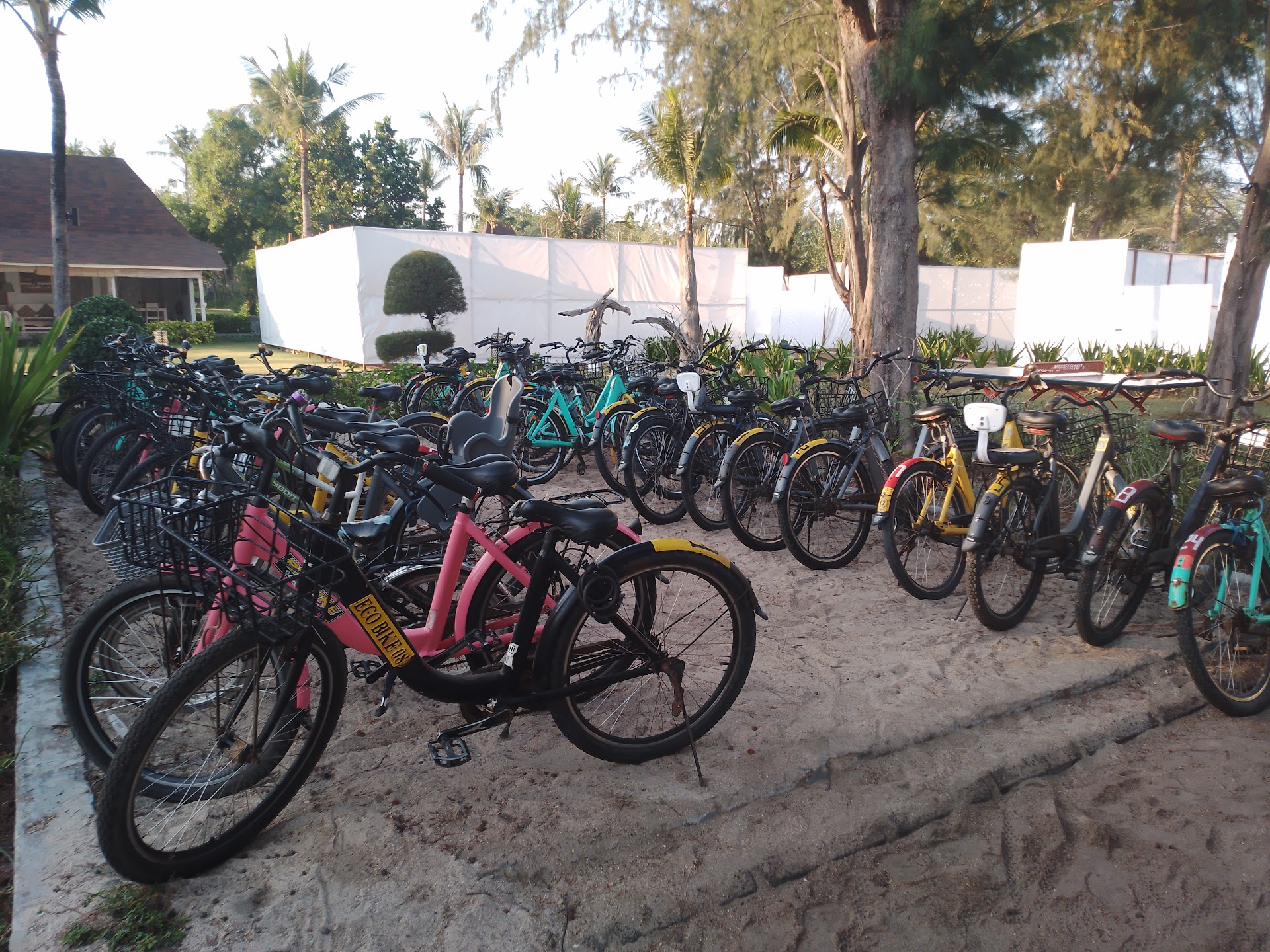 Ariani Bikes