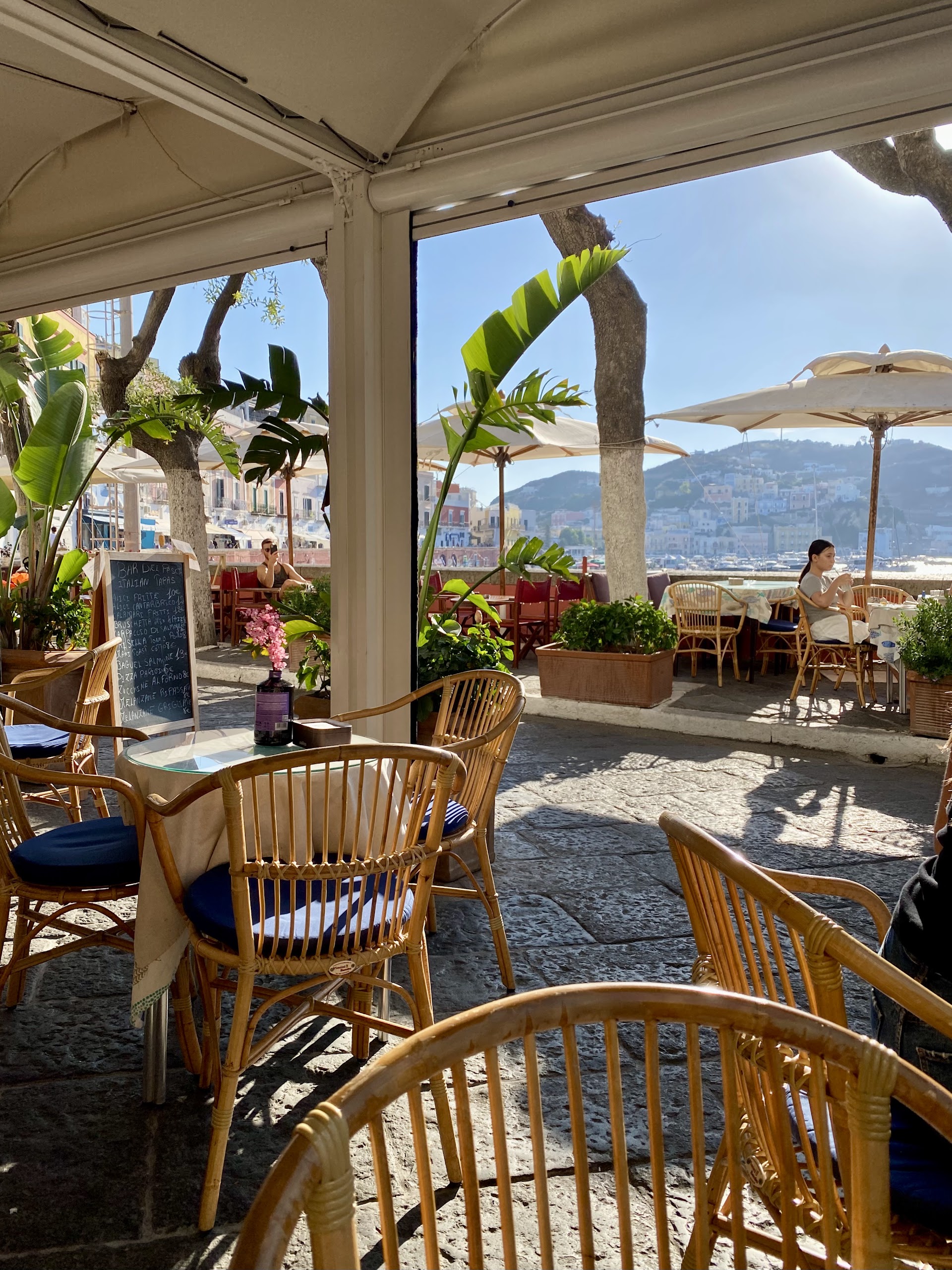 Bar dei pesci
