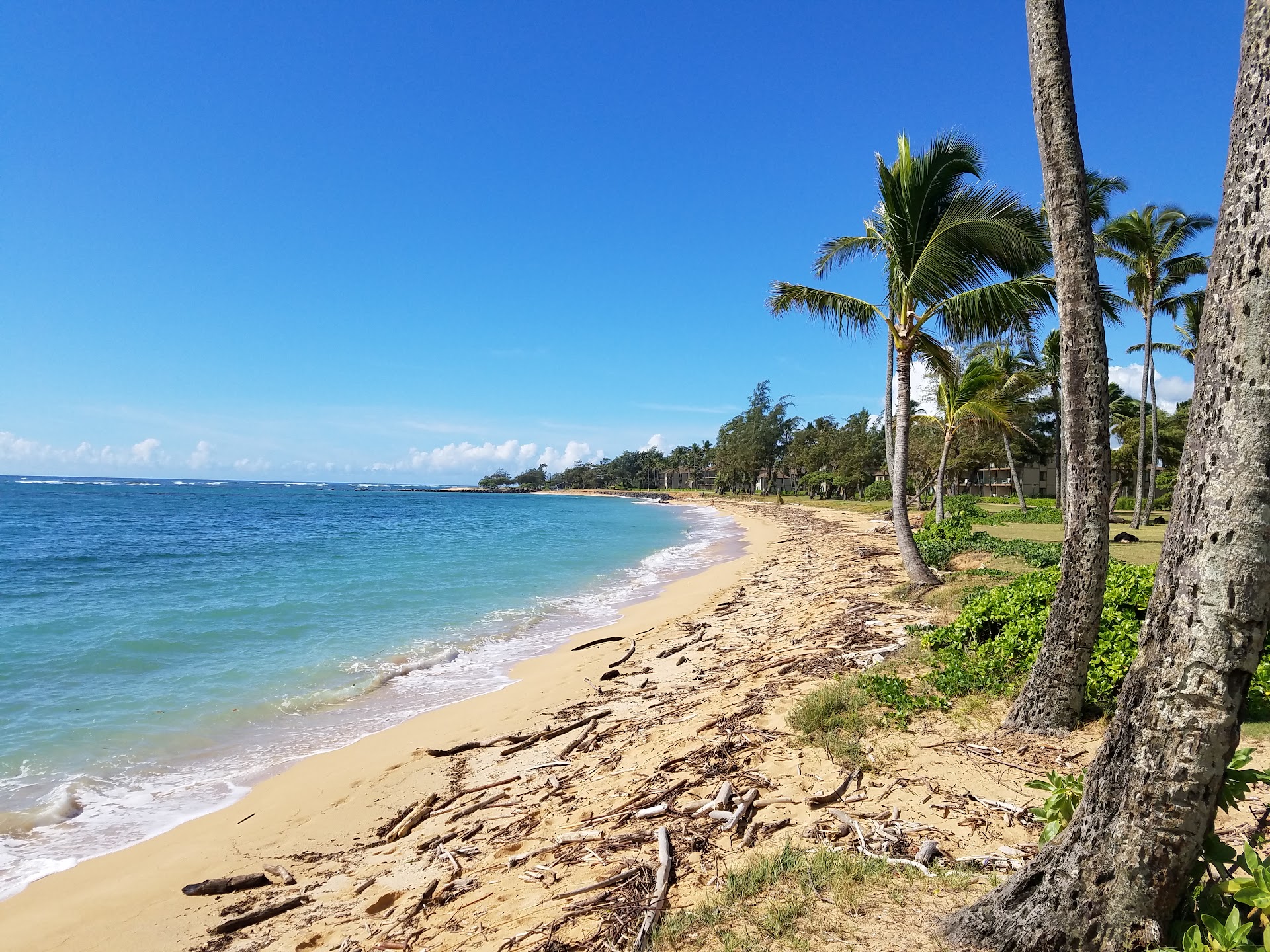 Kapa'a Beach Park