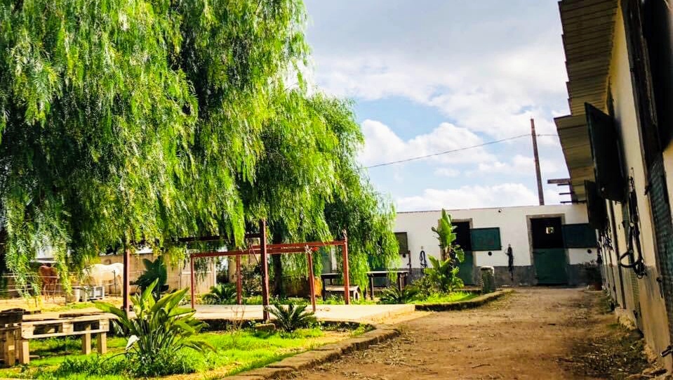 Las Vegas Ranch