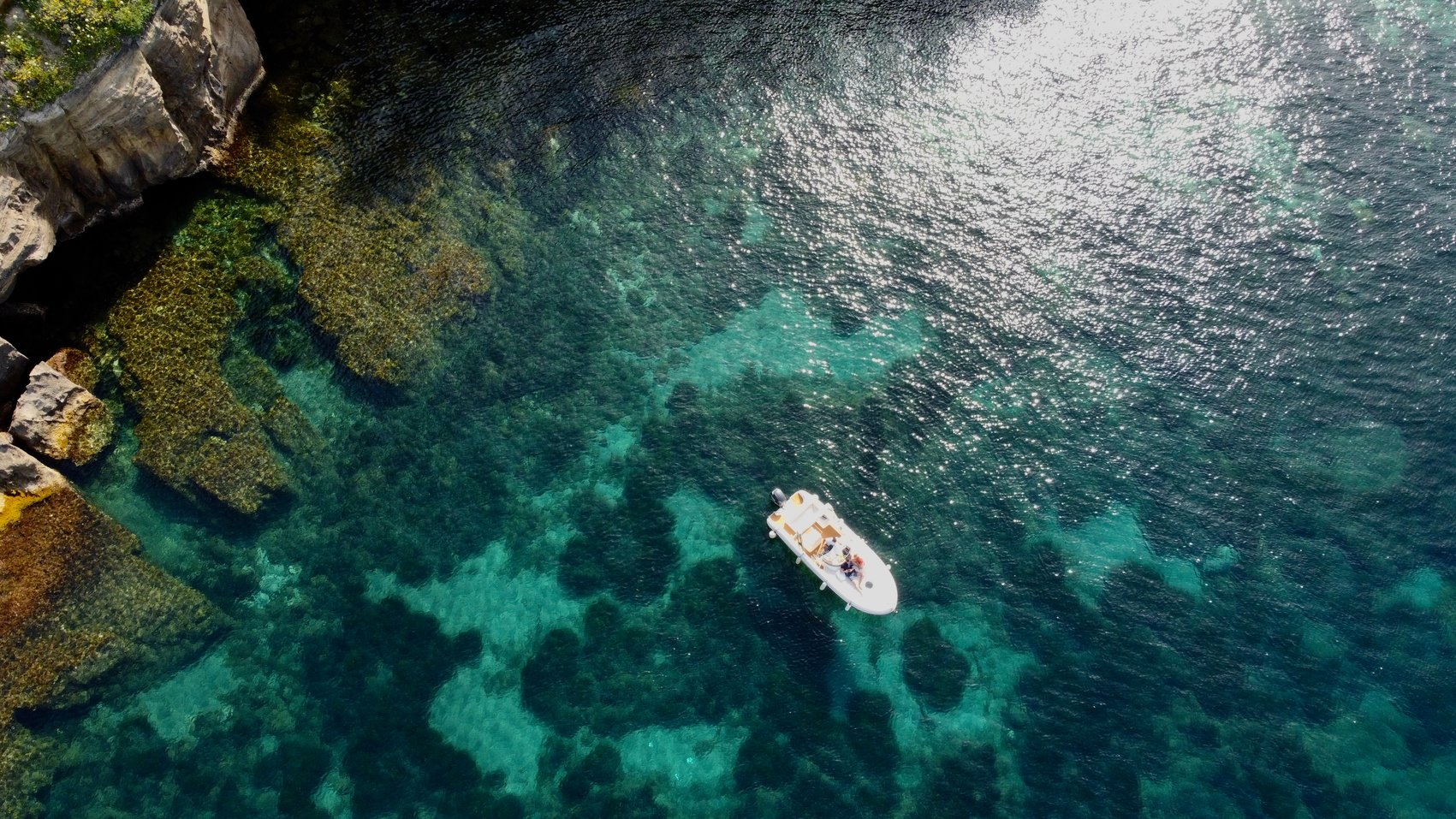 Undersea Procida : Boat Tour - Snorkeling - Rental - Transfer - Giri in Barca Procida