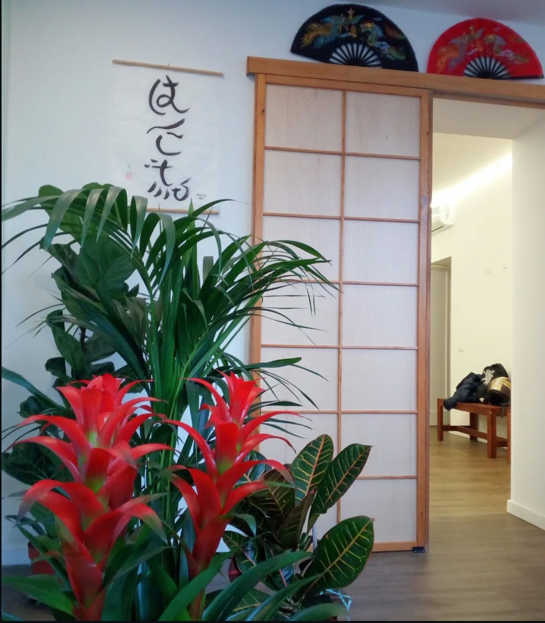 Han Shi Ryu