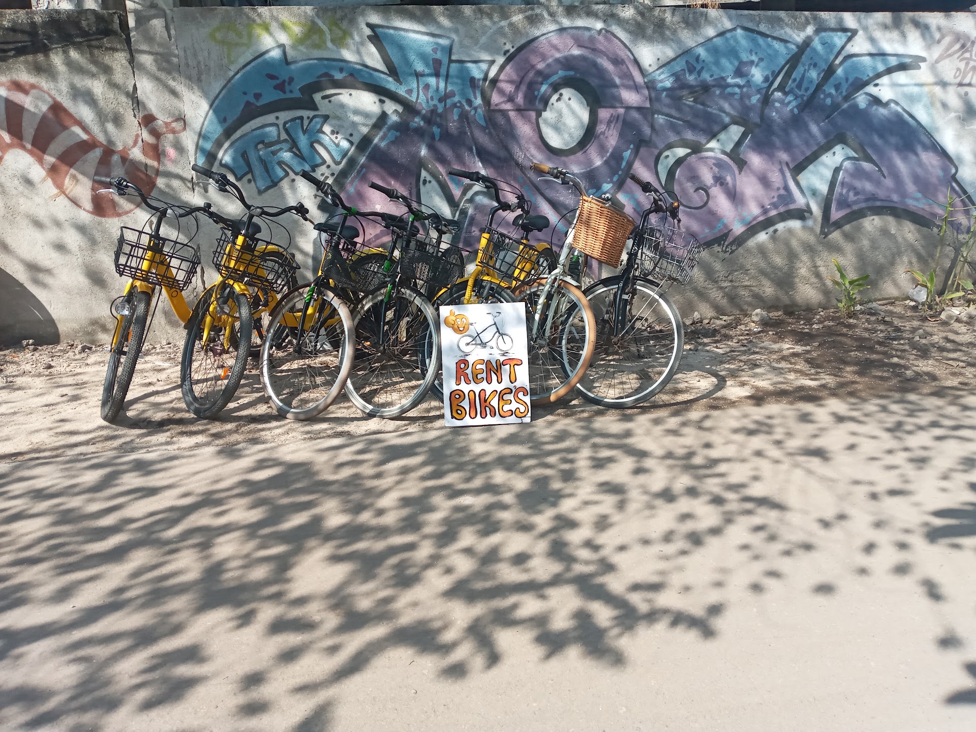 Comfortable Bike Rental