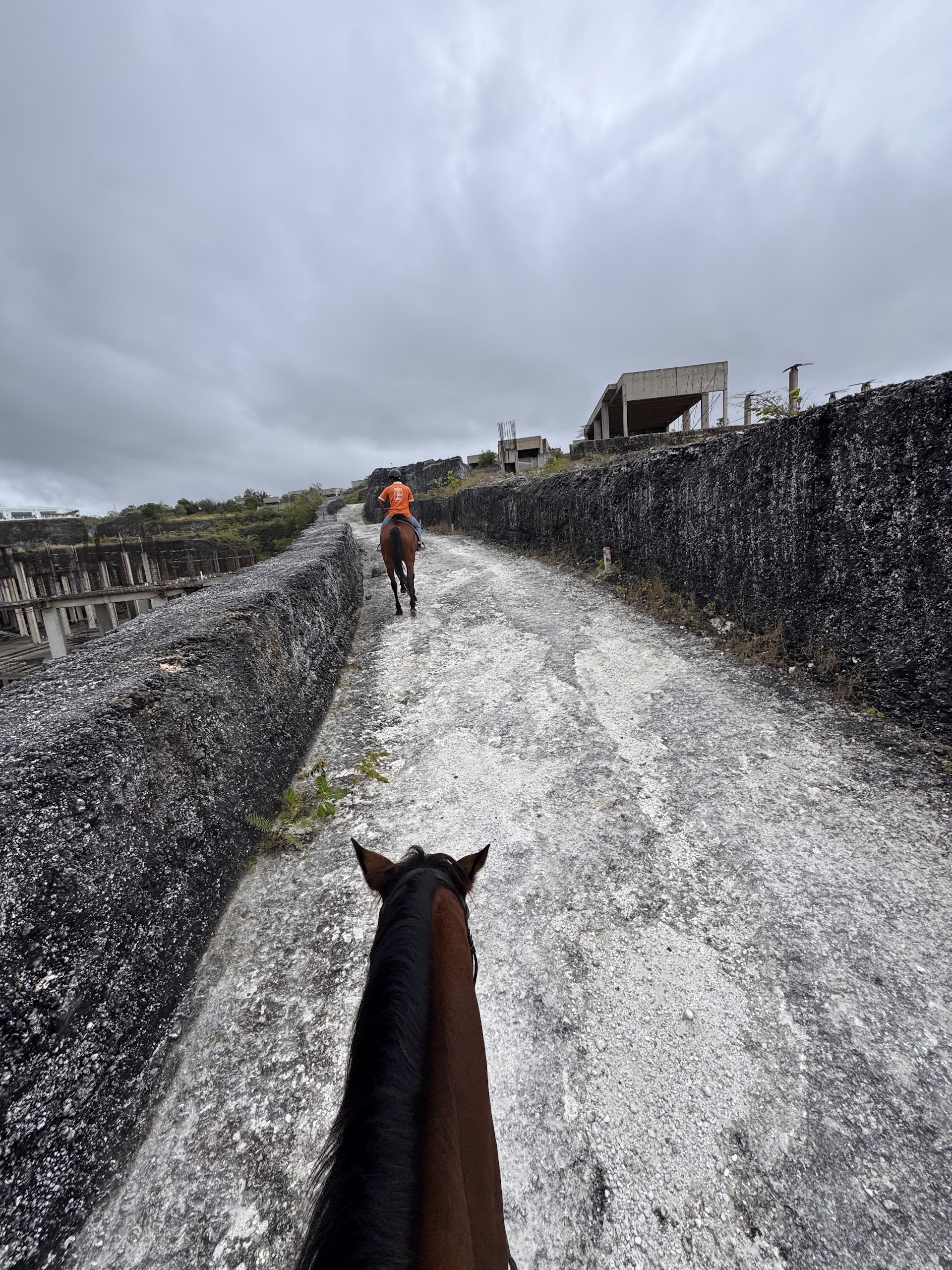 Royal Rancheros Stables