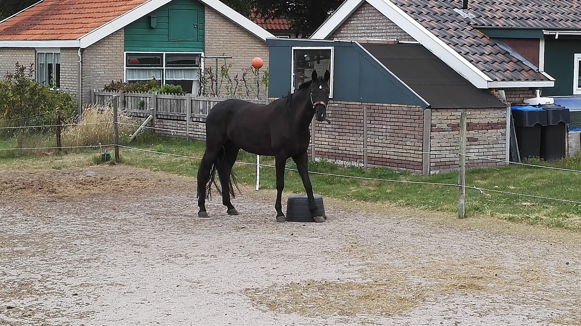 Stichting Openbare Basisschool (OBS) De Schakel
