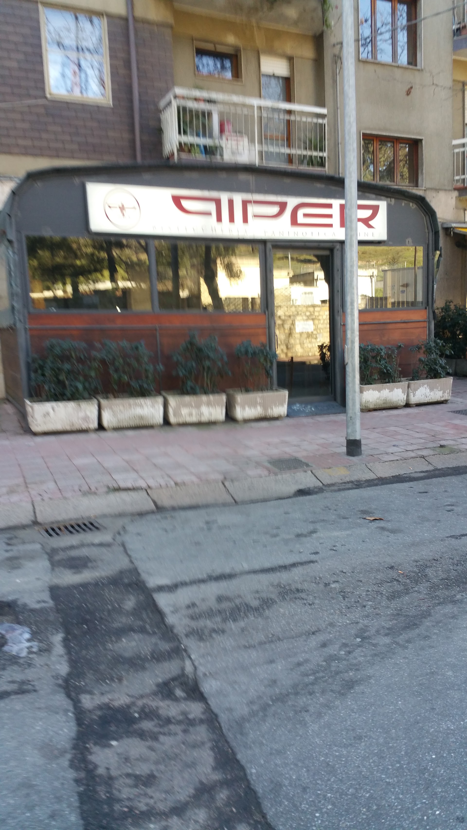 Piper
