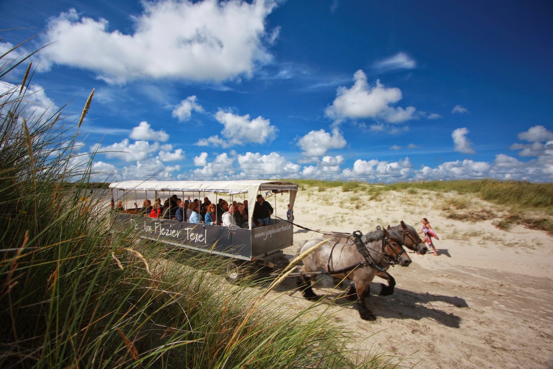Horseback Riding in Oosterend