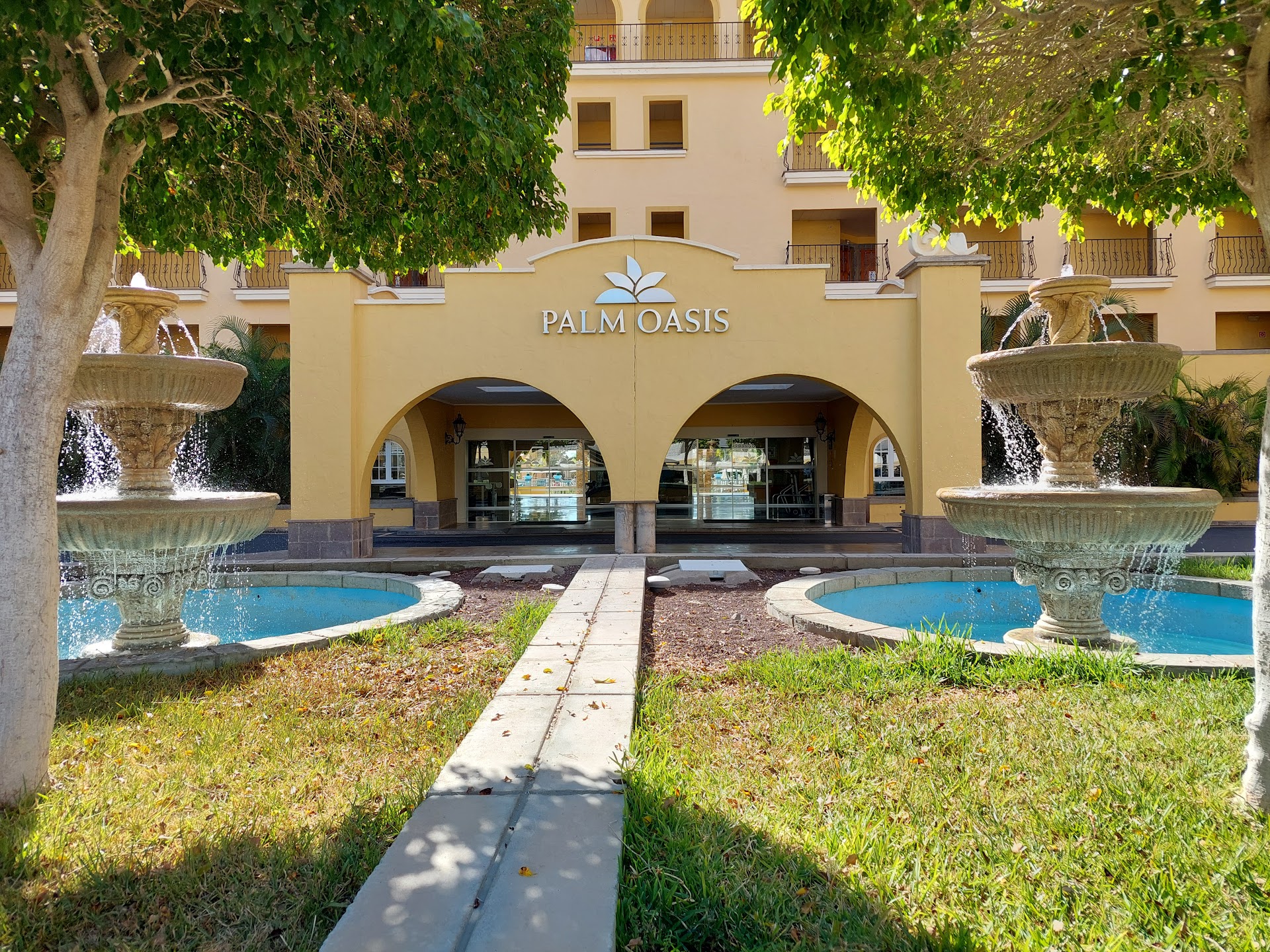 Palm Oasis