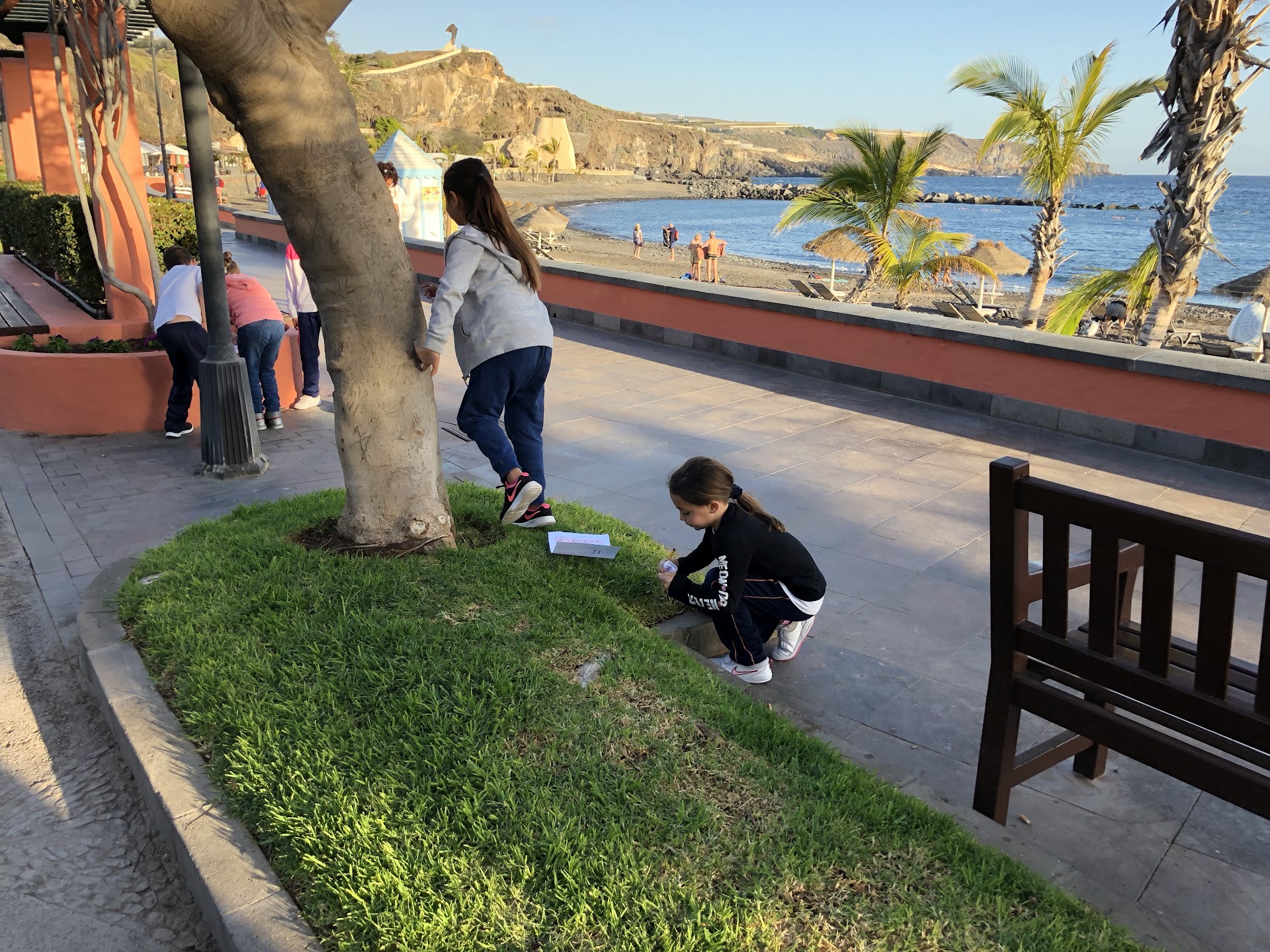 Isla Idiomas