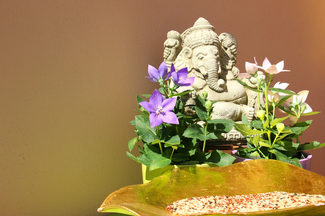 Himalaya Yoga Shala