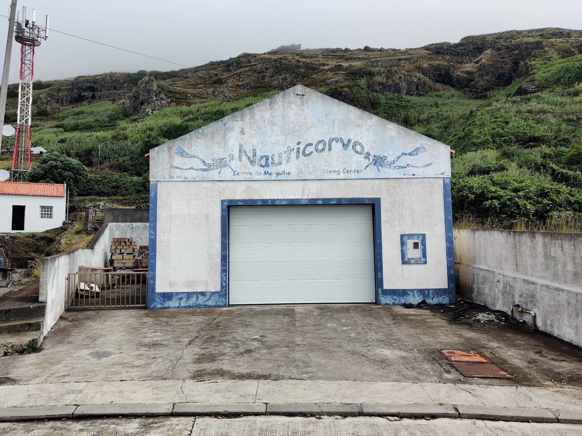 Nauticorvo