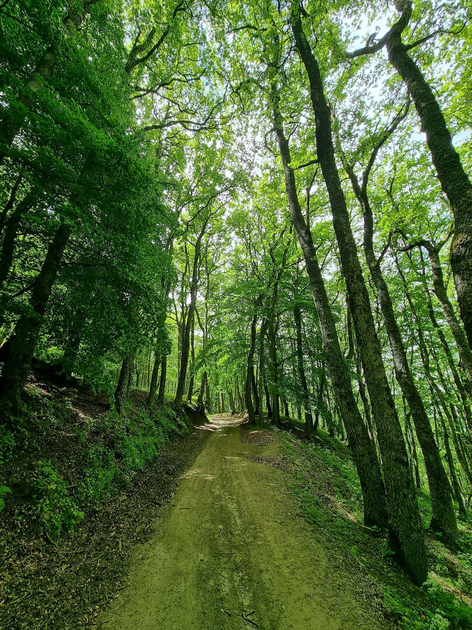 Trekking Sicilia Madonie Spiritual