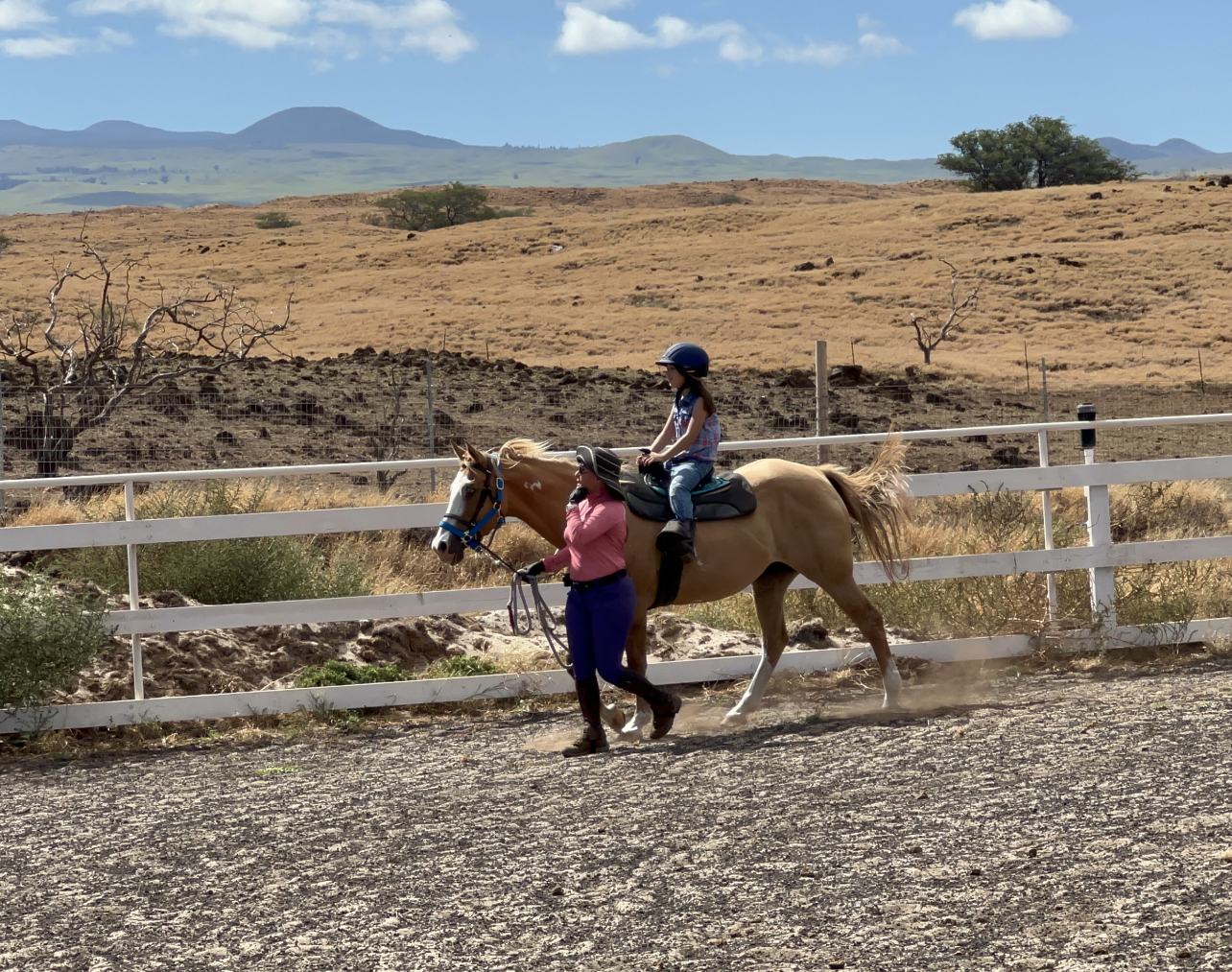 Woman Of Horses