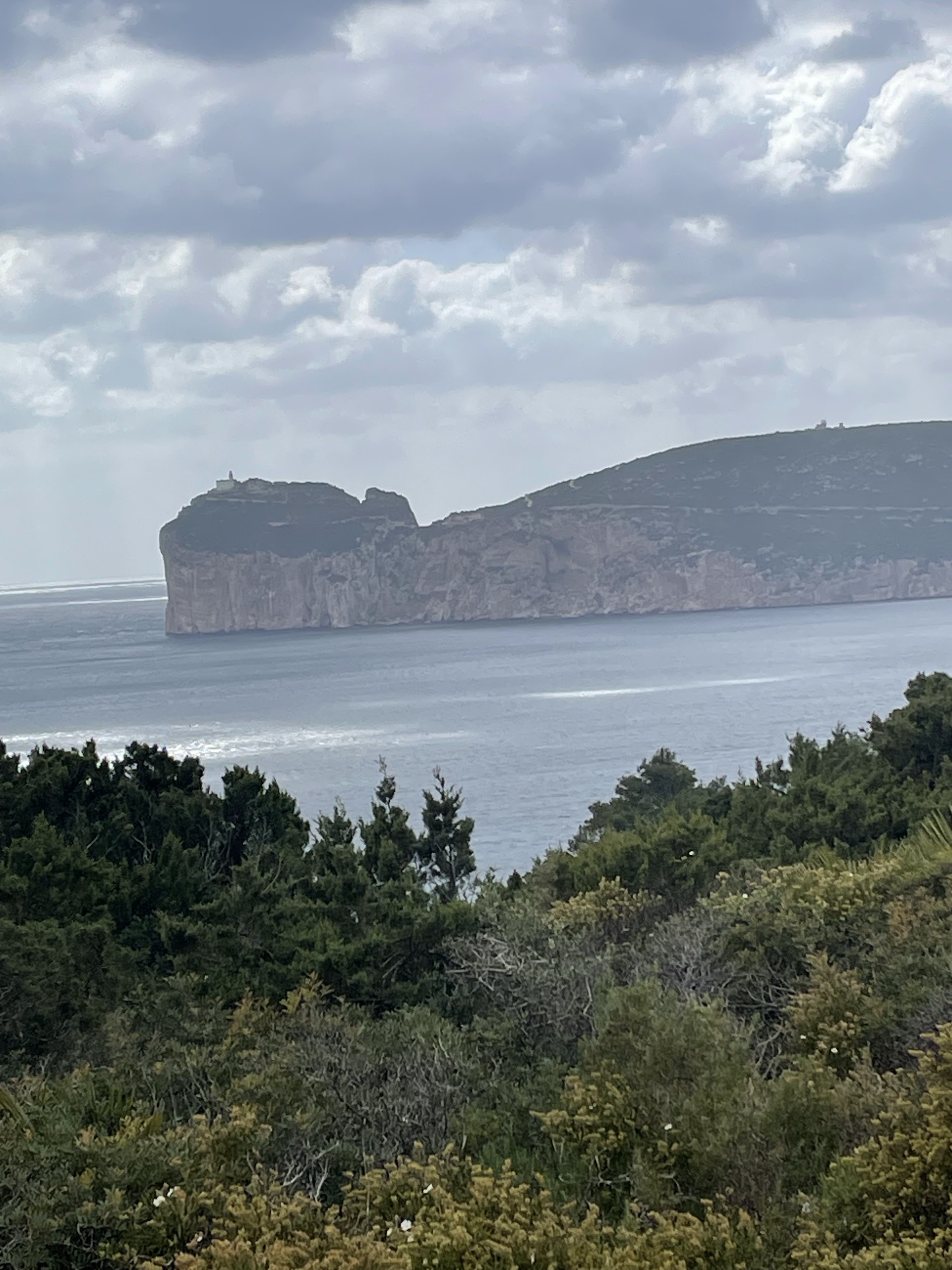Parco di Porto Conte Trail Center