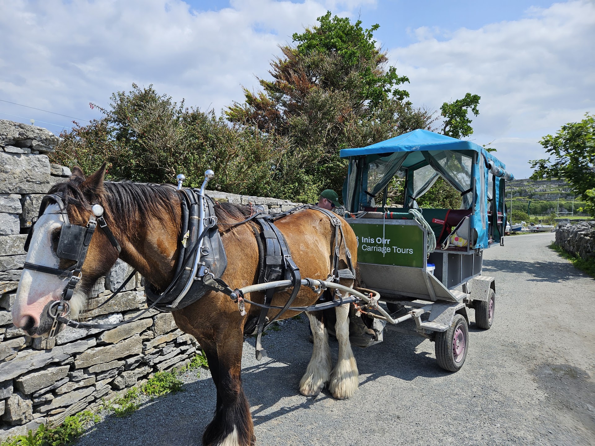 Inis Oirr Horse & Carriage Tours