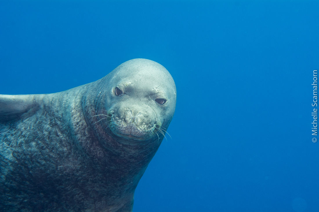 Explore Kauai Scuba, LLC