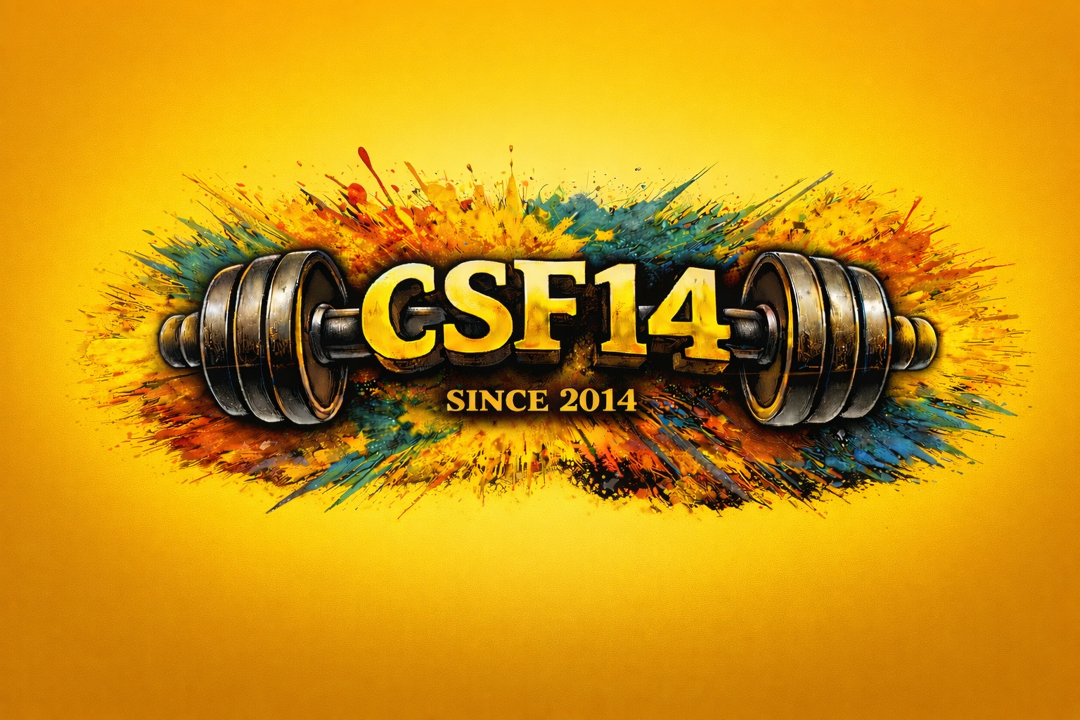 ASD CSF14 MODICA