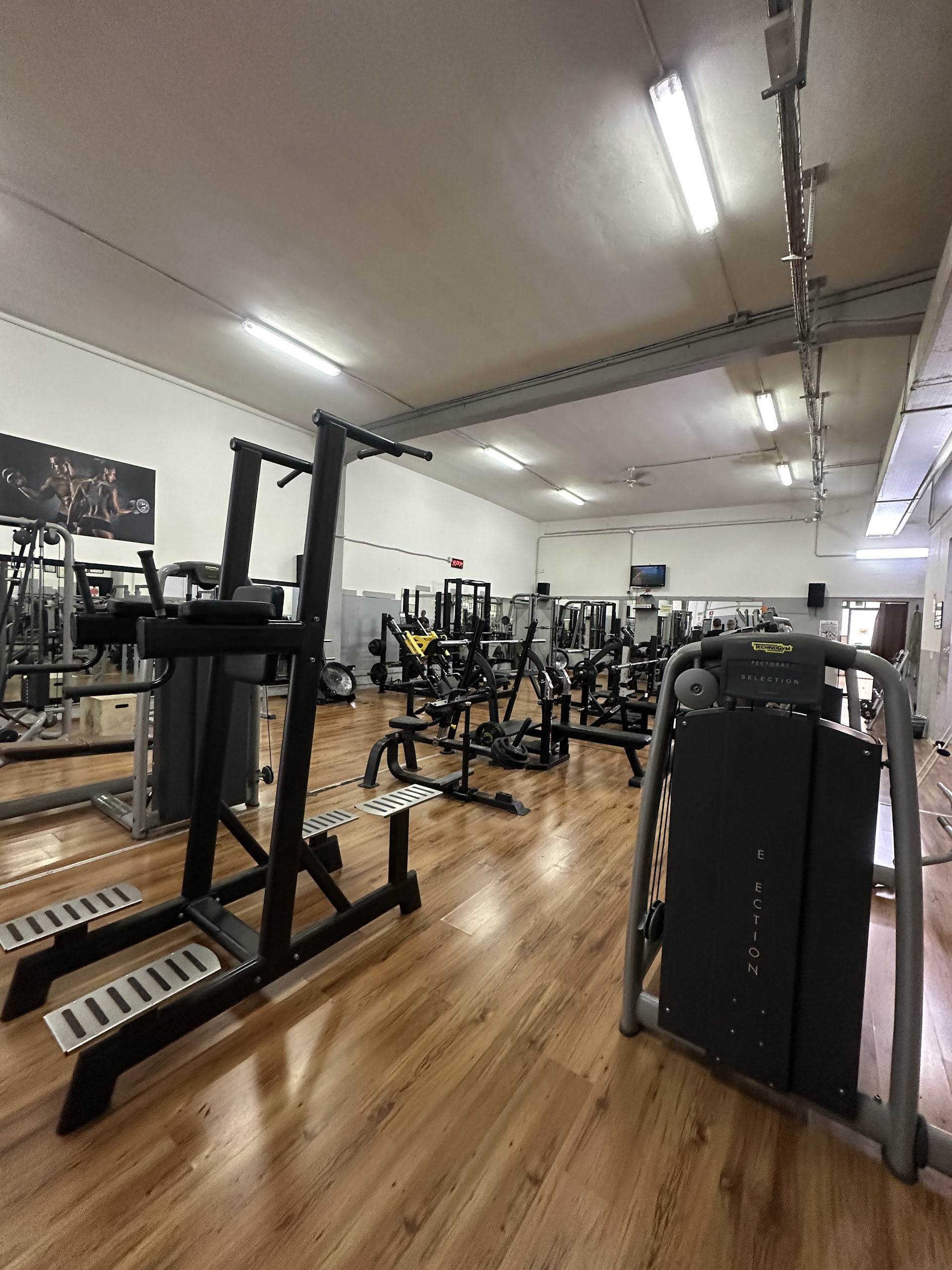 World Fitness Club s.r.l. s.d.
