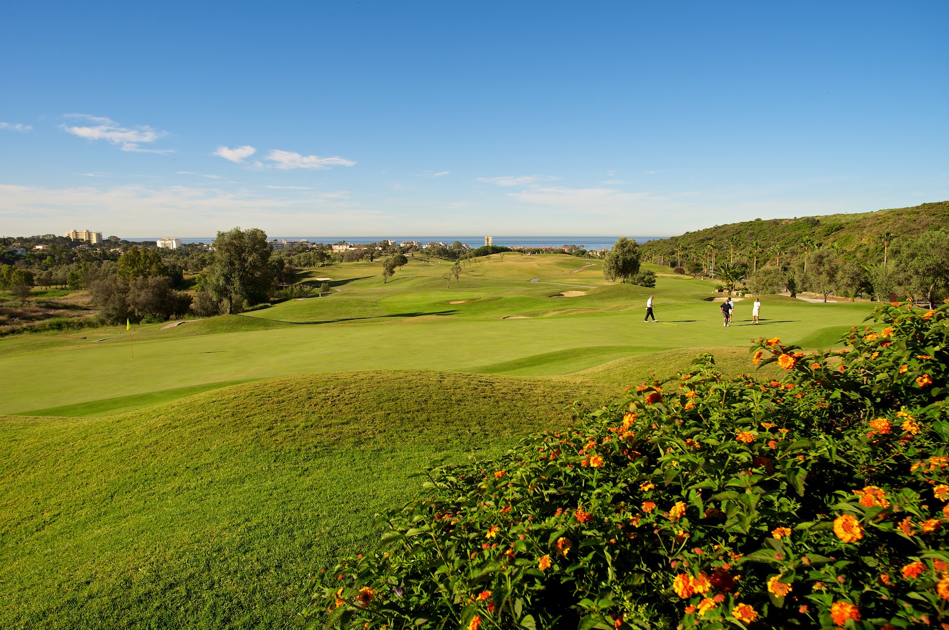 Higuerón Marbella Golf Resort