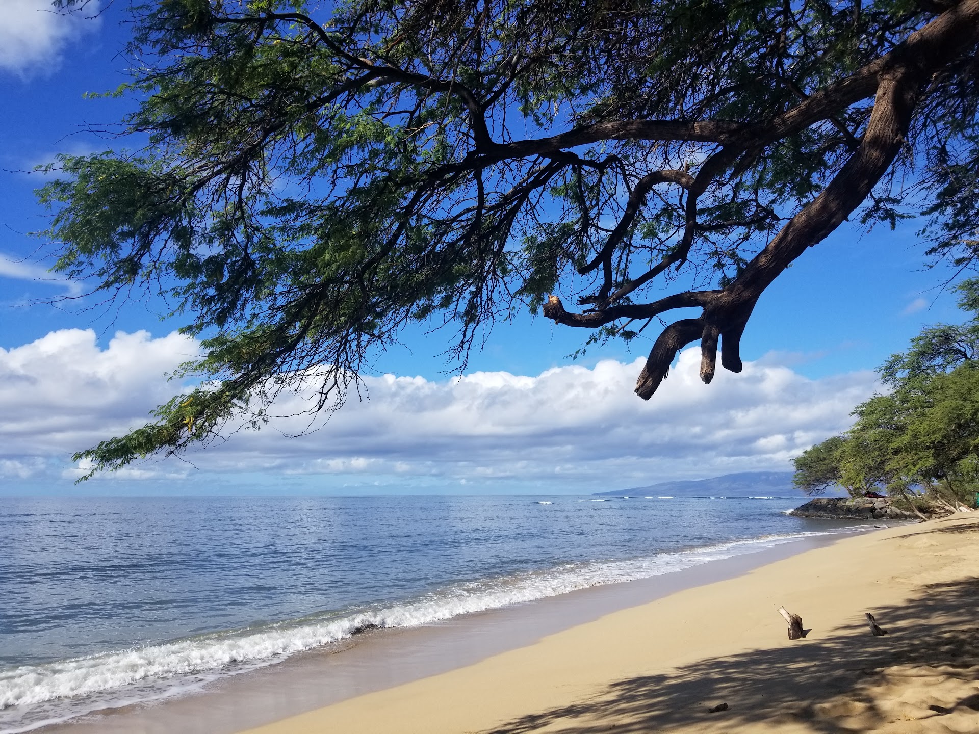 Pāpalaua Wayside Park