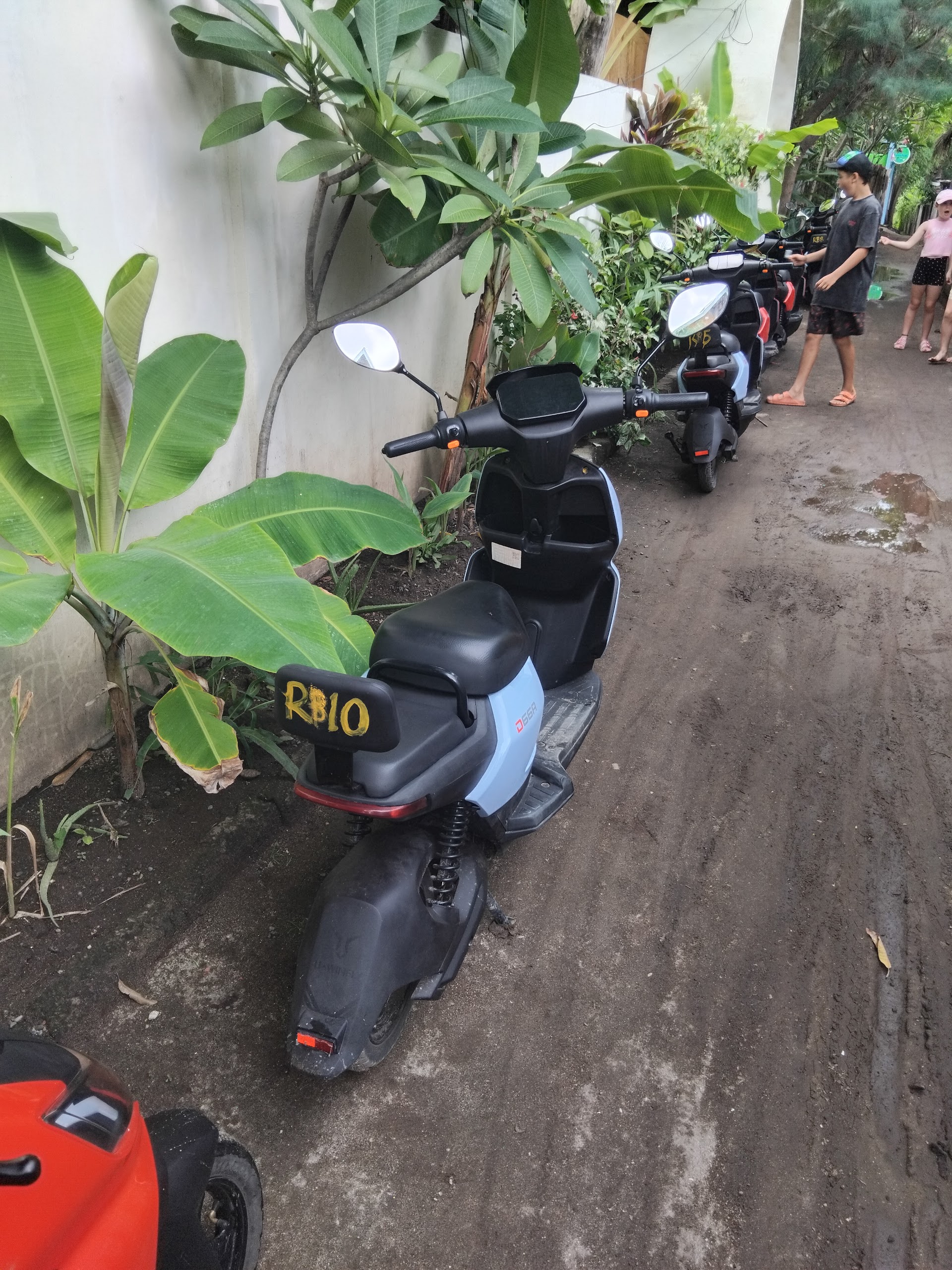 Rent bike scooter rainbow black
