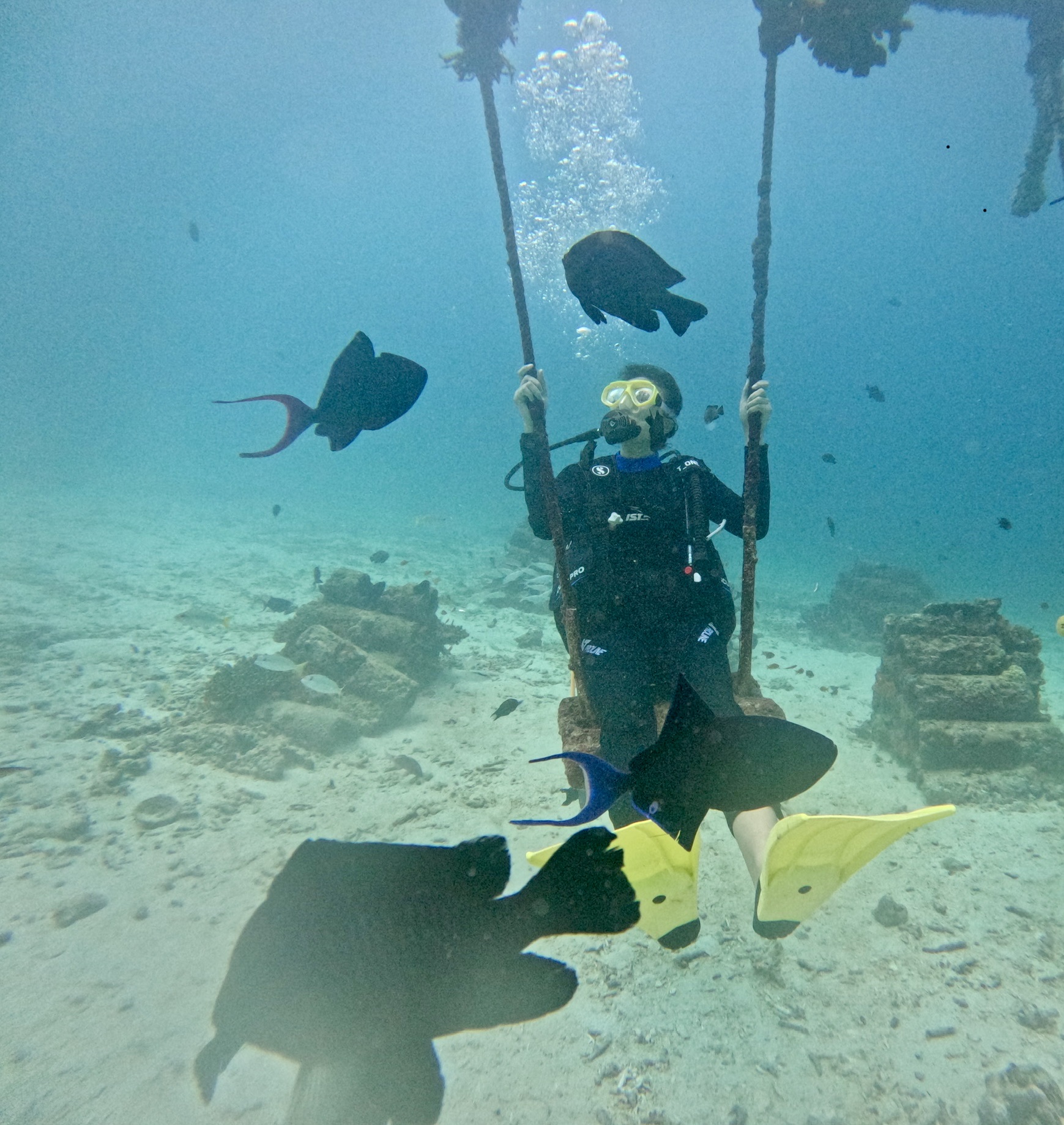 Scubaholic Divecenter