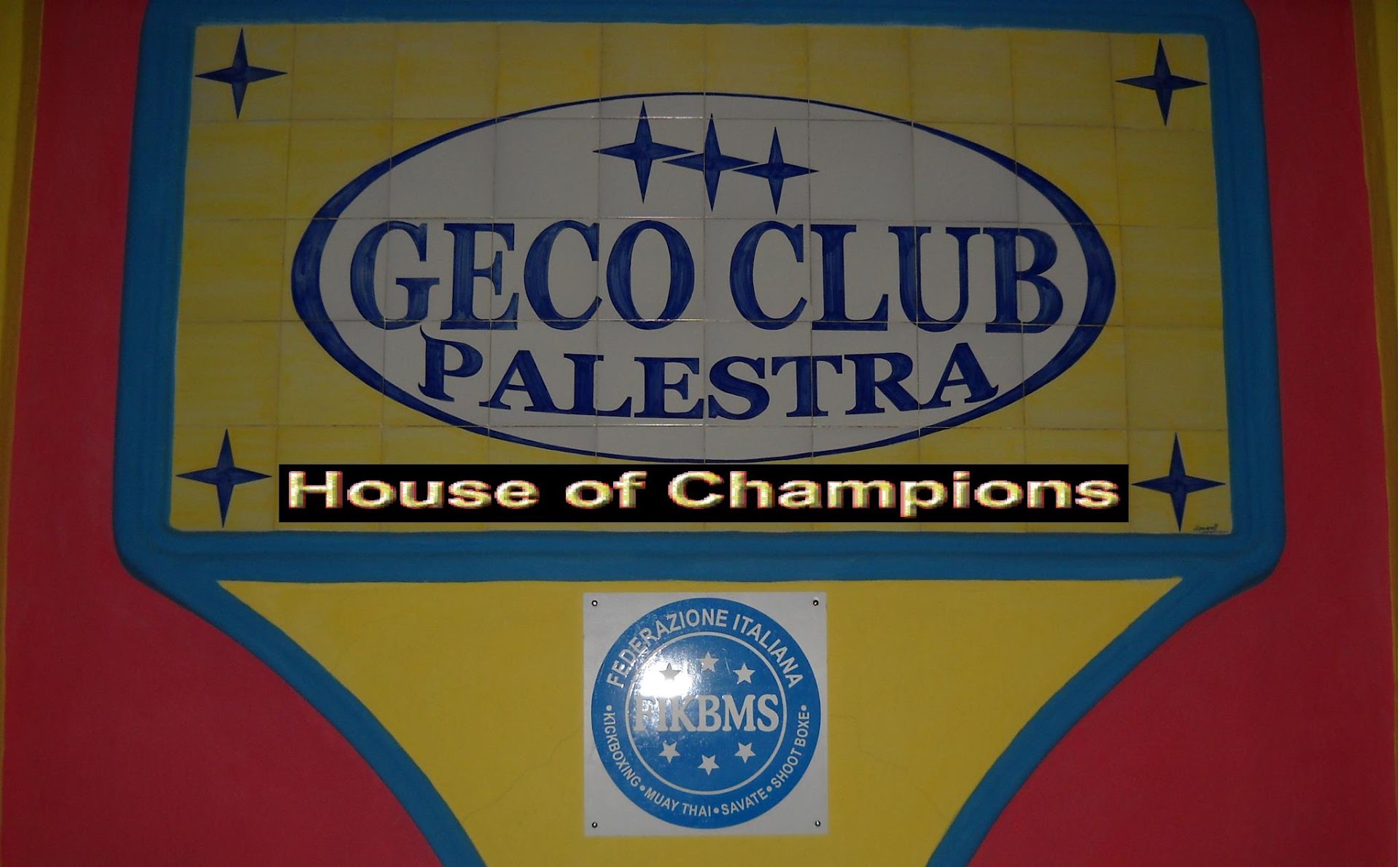 A.S.D. PALESTRA GECO CLUB