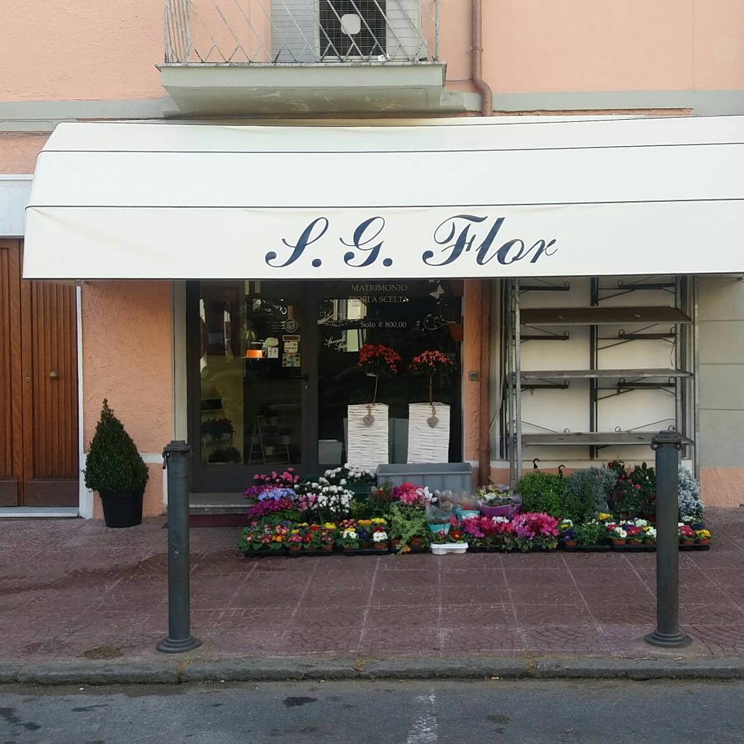 S.g.flor