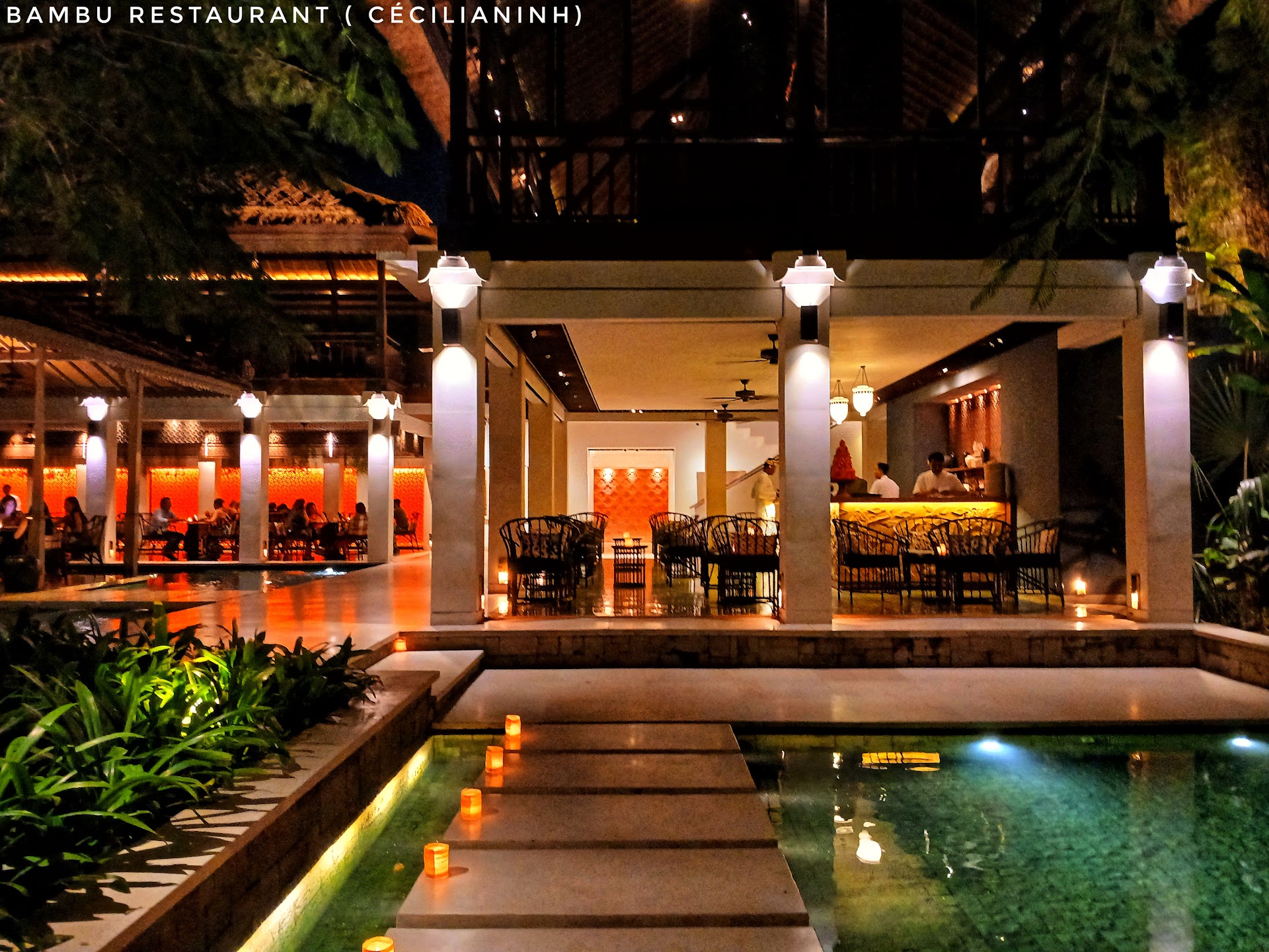 Bambu