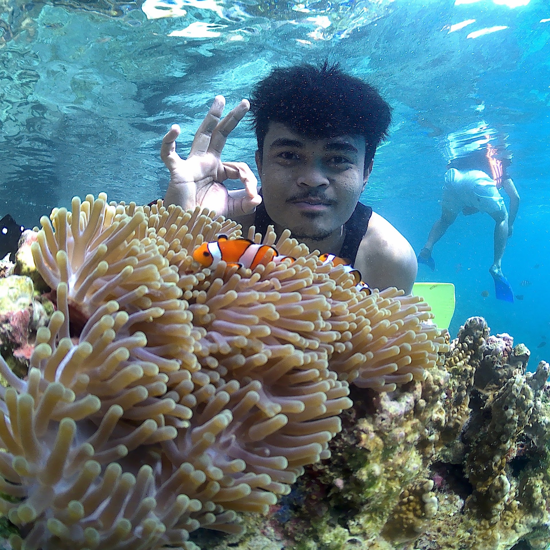 Wisata Pulau Weh