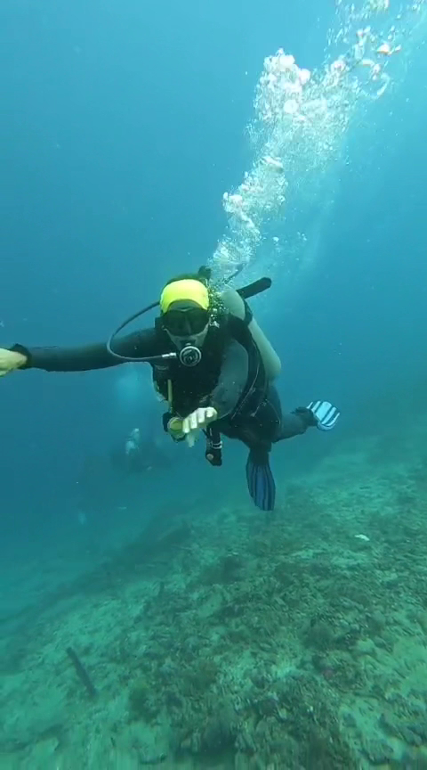 Diving & Snorkeling in Mushroom Bay
