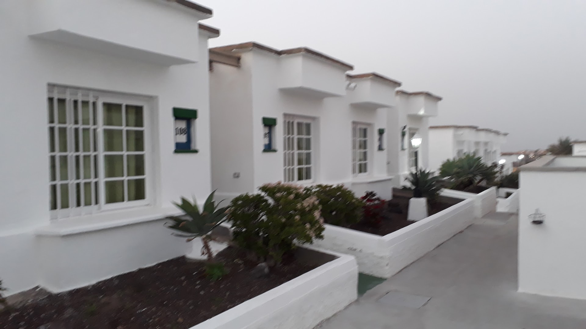 BUNGALOWS VISTA OASIS