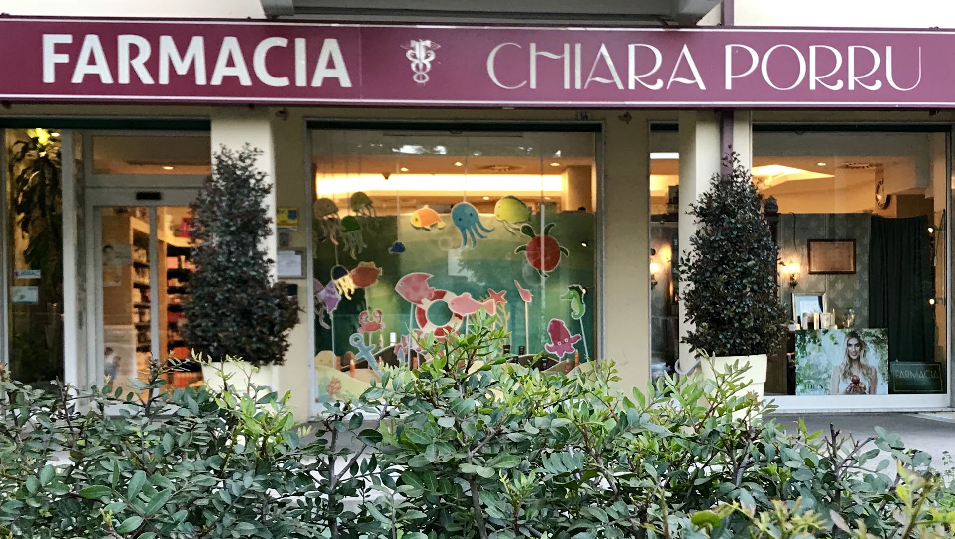 Farmacia Chiara Porru Srl
