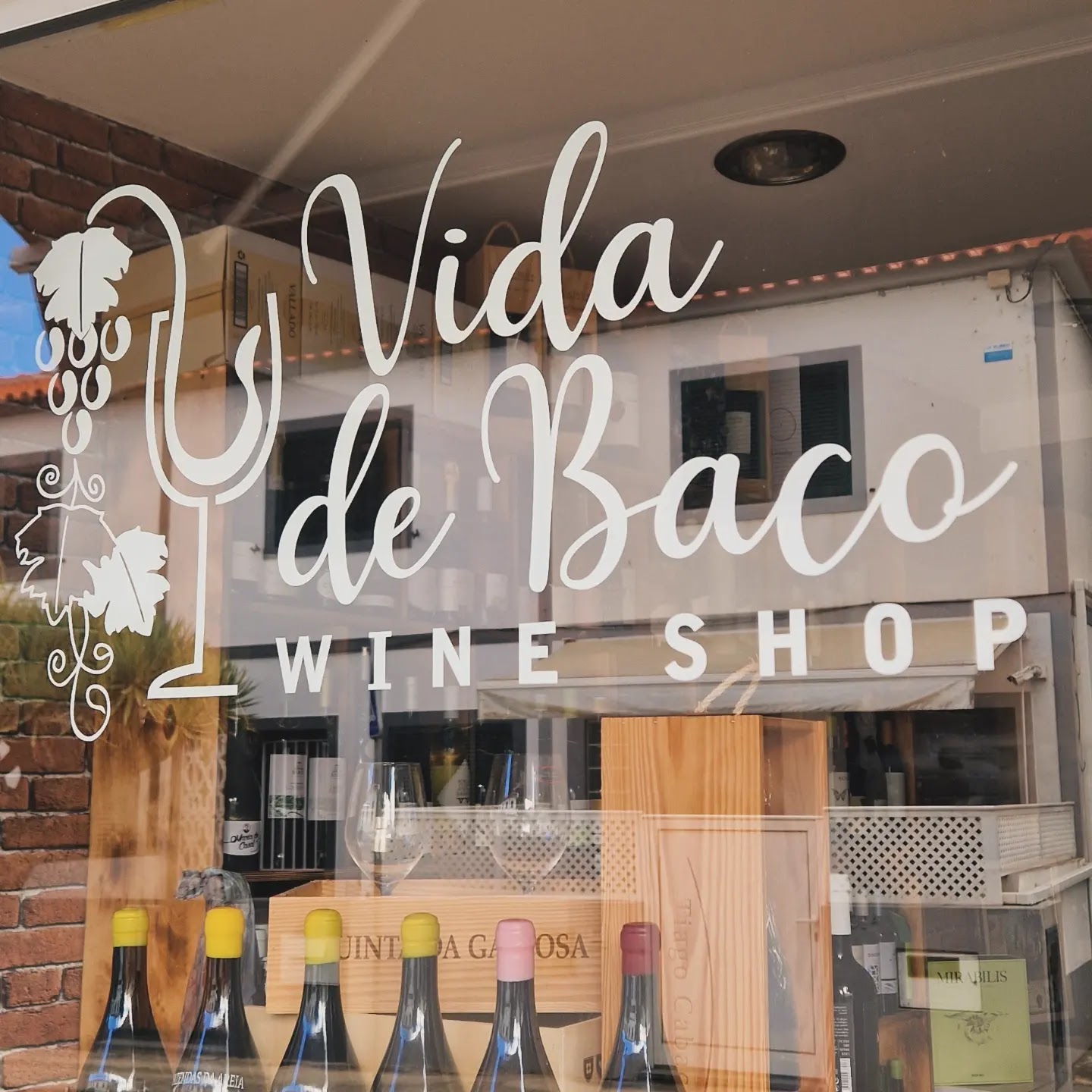 Vida de Baco