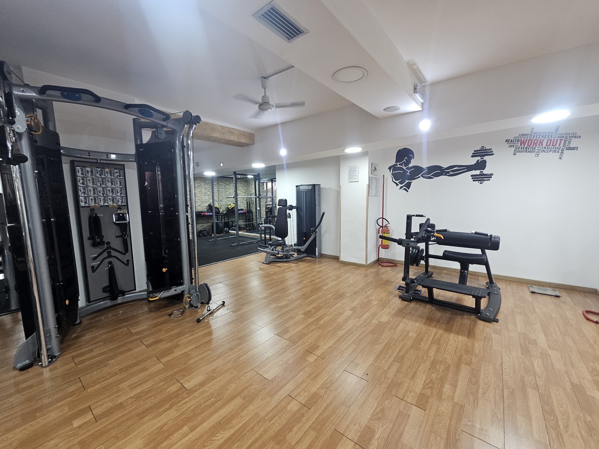 Dynamic Sport Center ssd arl