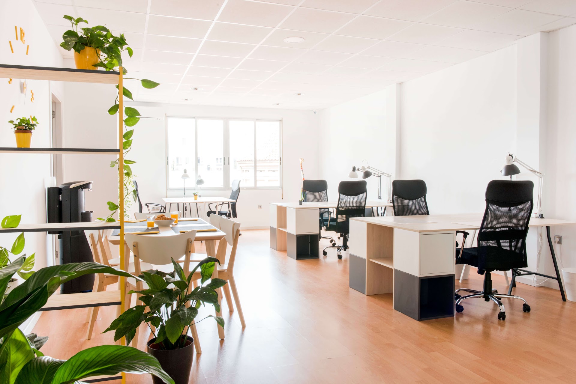 Llum Coworking Valencia 🔆