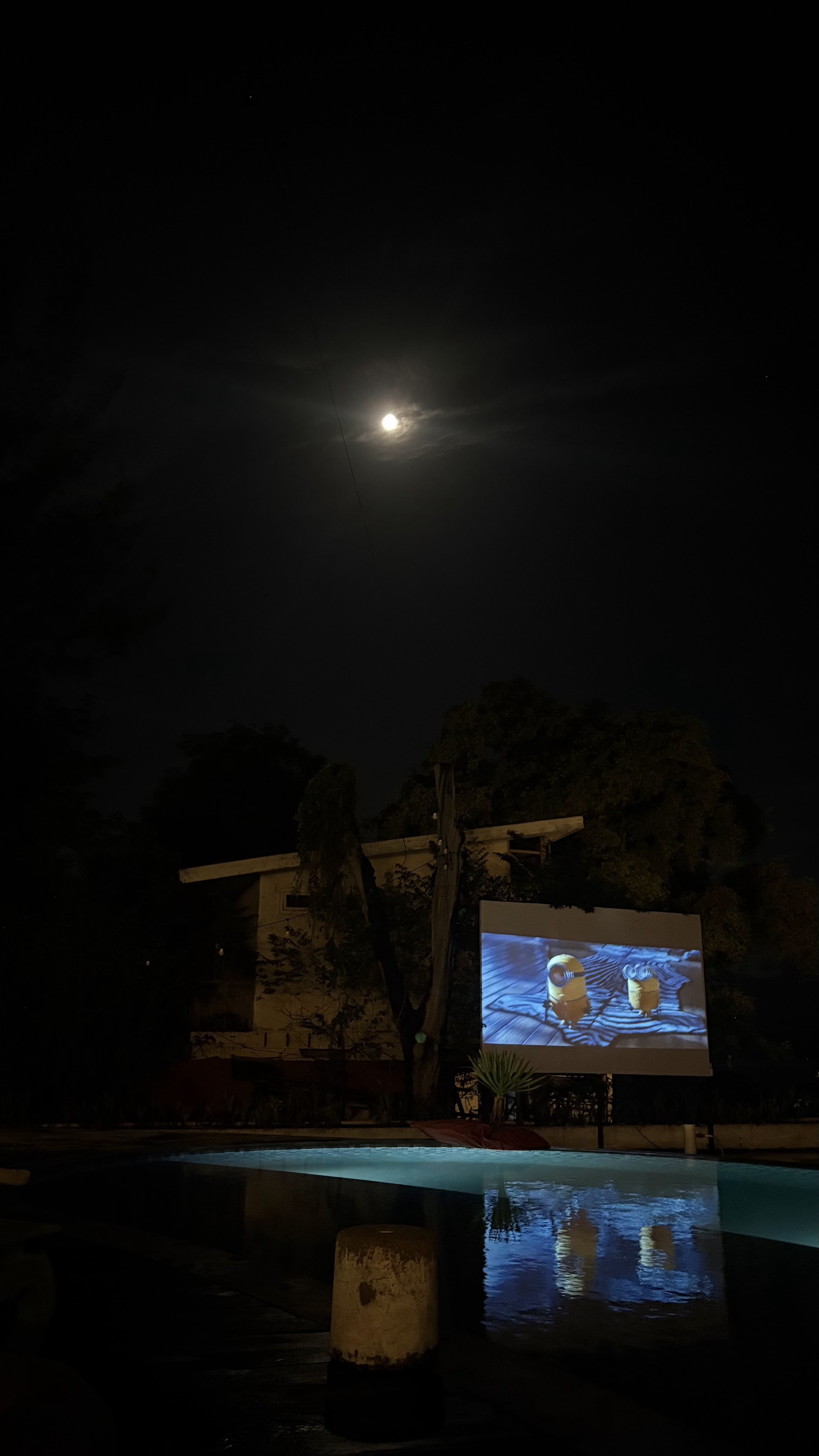 Open Air Cinema