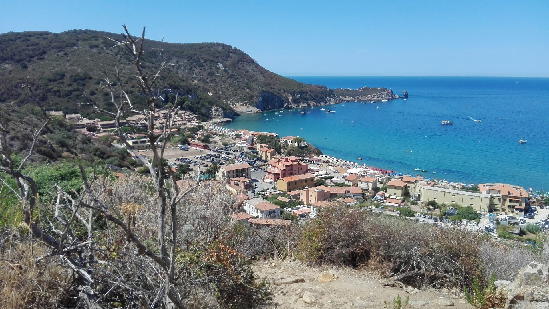 Giglio Campese